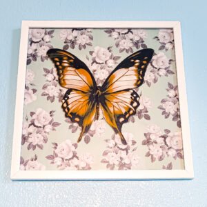 3D Butterfly Wall Art – A Stunning Touch of Nature